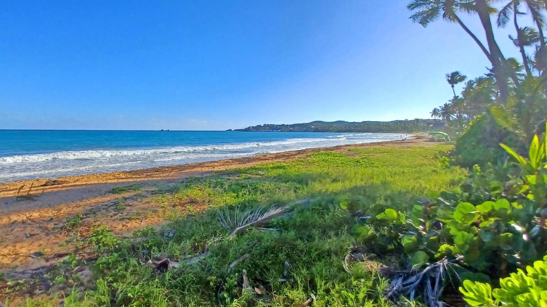 Turtle Pond Apartment Humacao Luaran gambar