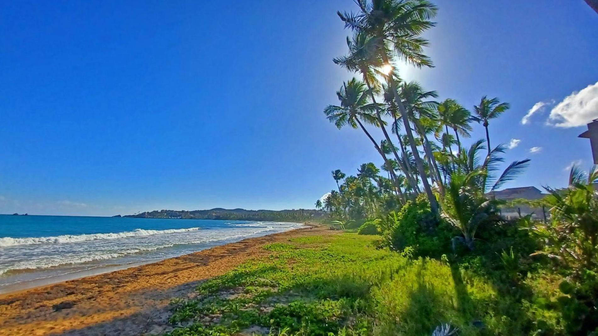 Turtle Pond Apartment Humacao Luaran gambar